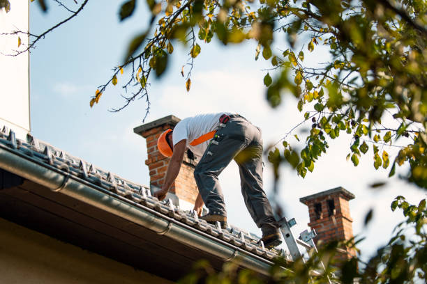 Roof Gutter Cleaning in Mission Viejo, CA